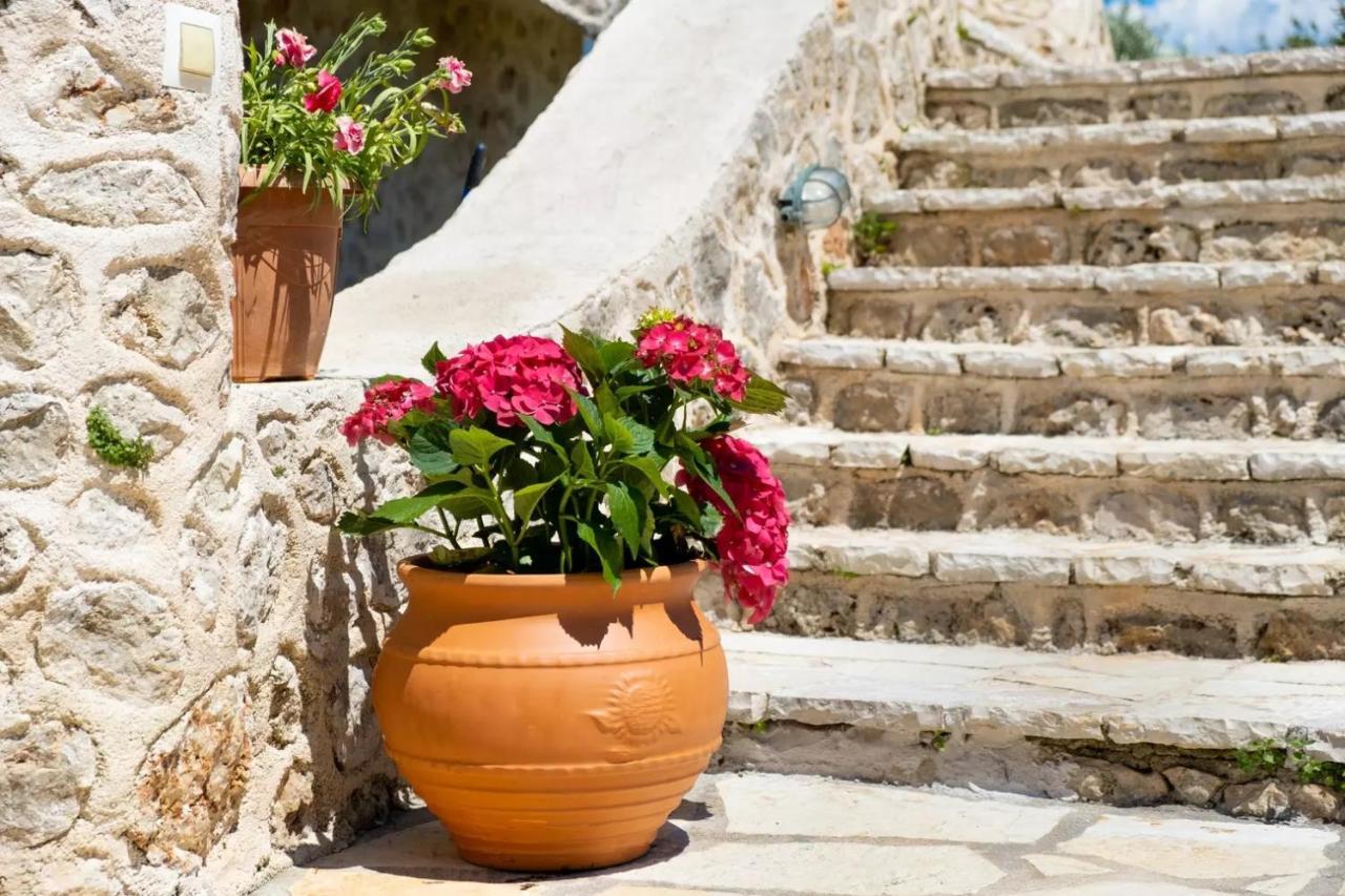 Gkountis Apartments Τσουκαλάδες Εξωτερικό φωτογραφία